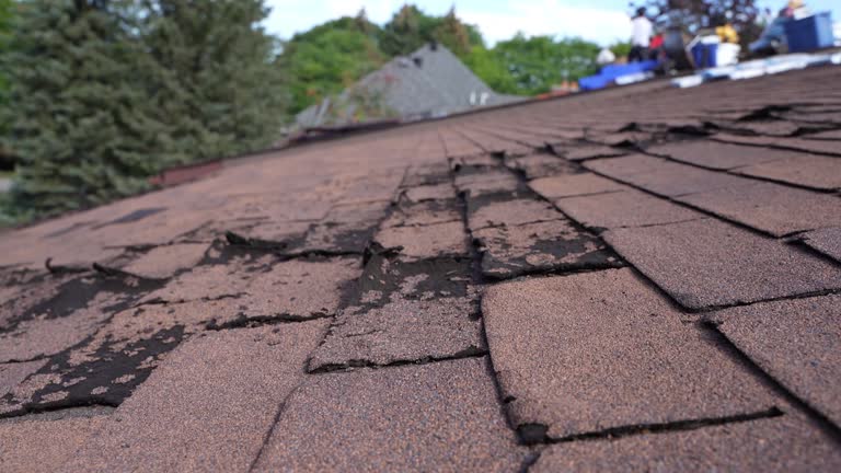 Best 4 Ply Roofing  in Gruetli Laager, TN