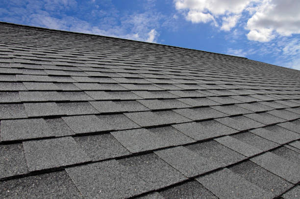 Best Roof Moss and Algae Removal  in Gruetli Laager, TN